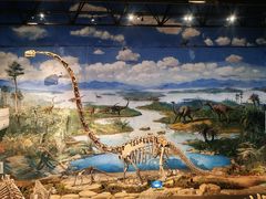 -自贡恐龙博物馆