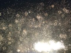 -大塘金香草谷