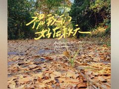 -青龙山国家森林公园