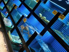 -徽三说·土徽菜·中国徽菜连锁品牌(一中店)