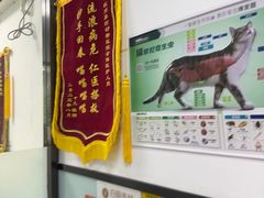 -嘉馨宠物医院·CT影像转诊·心脏科·犬猫全科诊疗中心(下沙大学城院区)
