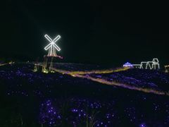 -大塘金香草谷