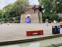 -桂湖森林公园