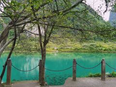 -靖西鹅泉风景区