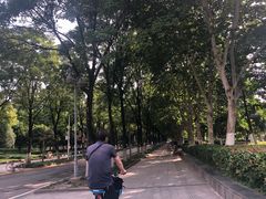 -后襄河公园