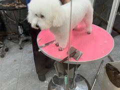 -宠福鑫康馨动物医院·骨科·眼科