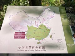 -中国茶叶博物馆(双峰馆区)