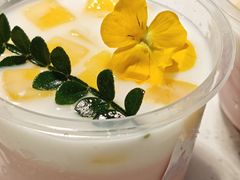 -太琼糟粕醋火锅·海南老爸茶(海棠湾臻选店)