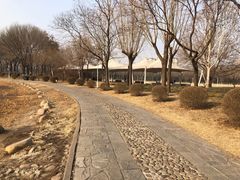 -泰丰公园