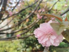 -凤凰沟景区