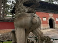-普乐寺