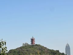 -惠山国家森林公园