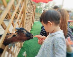 -萌宠亲子动物乐园(槐房万达店)