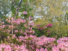 -华南师范大学(广州大学城校区)