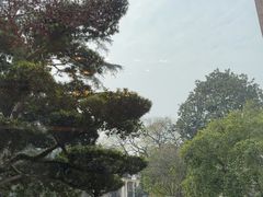 -浙江西子宾馆·瑶园咖啡厅