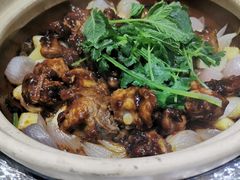 -金龙·打边炉(武进路店)