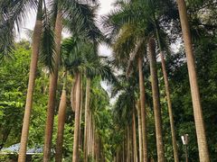 -华南国家植物园-售票处