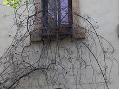 -成都南湖公园