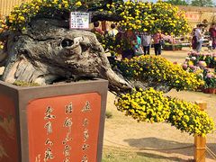 -五通灯塔公园