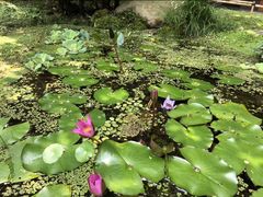 -微热山丘(台北民生公园门市店)