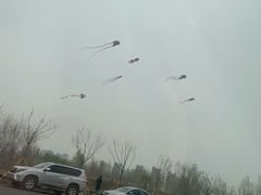 -丁香湖公园