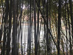 -河南省黄河迎宾馆