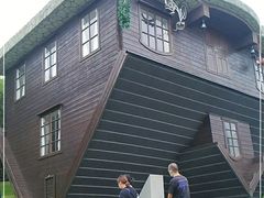 -金山农民画村-枫泾波兰倒置屋