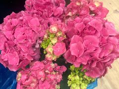 -双季花艺园艺市场(浦东店)