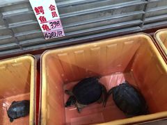 -荔城生鲜盛宴(番禺旗舰店)