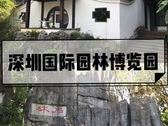 -宝安西湾红树林湿地公园