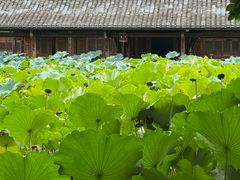 -莫催咖啡