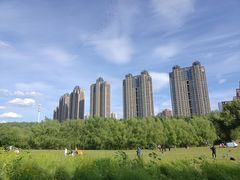 -长白岛森林公园