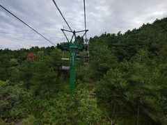 -磬锤峰森林公园