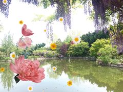 -嘉定紫藤园