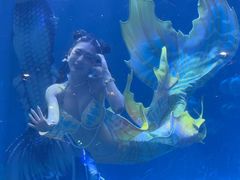 -华夏文旅海洋公园