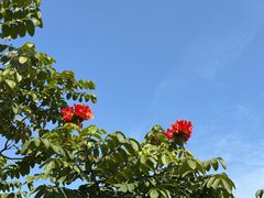 -仙岳公园