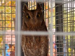 -合肥滨湖国家森林公园