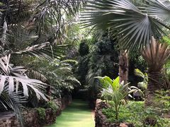 -呀路古热带植物园