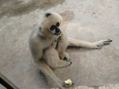 -石家庄市动物园