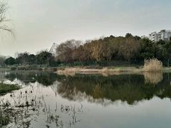 -新江湾城公园
