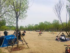-东郊湿地公园