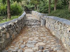 -阳台山自然风景区
