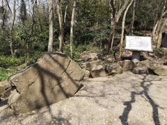 -上海佘山国家森林公园天马山园