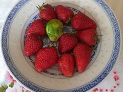 -恒客隆超市(自由大路店)