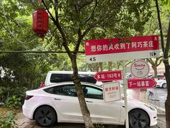 -阿巧茶庄