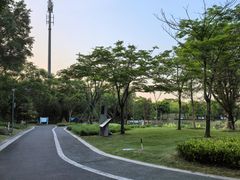 -王借岗森林公园