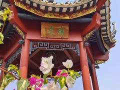 -顺峰山公园