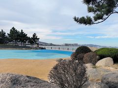 -悦海公园