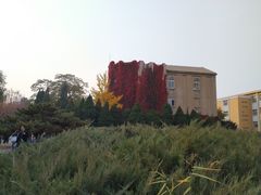 -辽宁大学(崇山校区)
