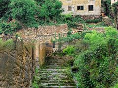 -杨家堂村